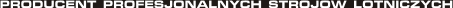 Producent profesjonalych stroj�w lotniczych